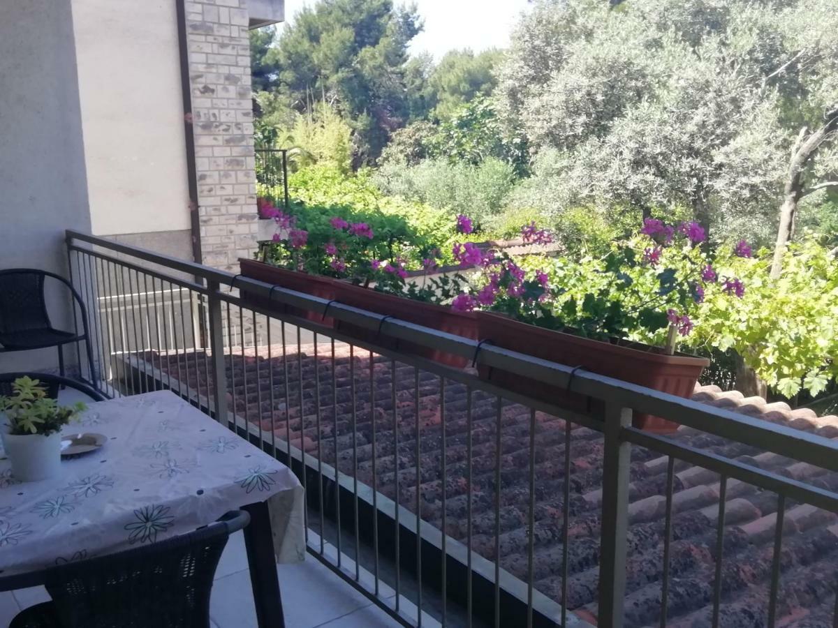 Apartments Jadranka Ivana Пула Екстериор снимка